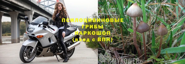 сатива Семёнов