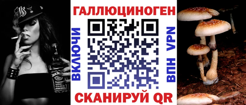 даркнет сайт Терек Галлюциногенные грибы Cubensis